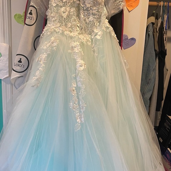 Plus Size Prom Dress - Picture 3 of 6